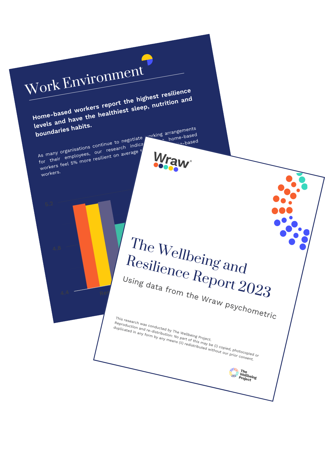 Screenshots of the Wellbeing and Resilience Report 2023 